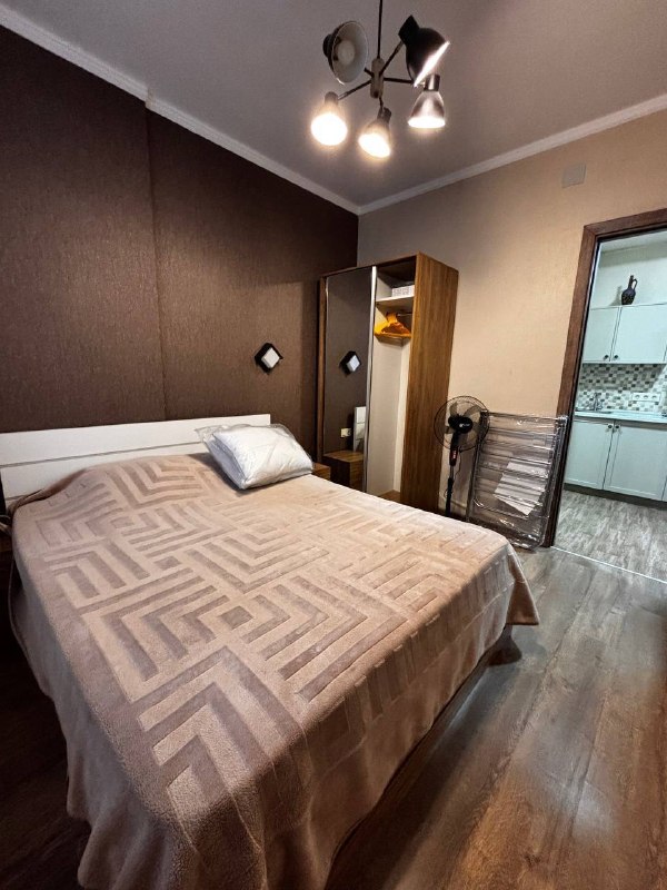 Apartment, 1 bedroom · Khimshiashvili — photo 3