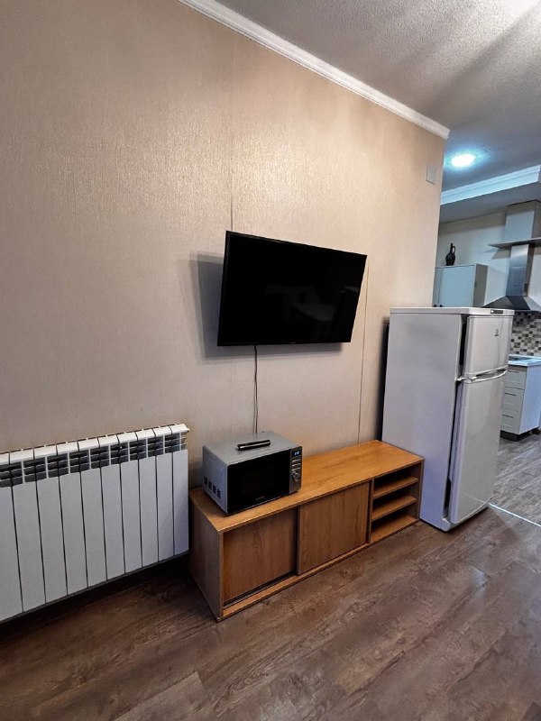 Apartment, 1 bedroom · Khimshiashvili — photo 4