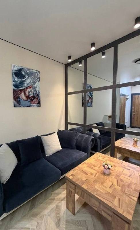 Apartment, 1 bedroom · Khimshiashvili — photo 2