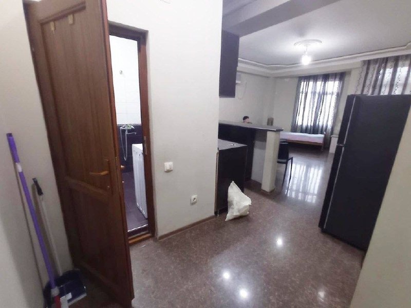 Apartment, 1 bedroom · Khimshiashvili — photo 5