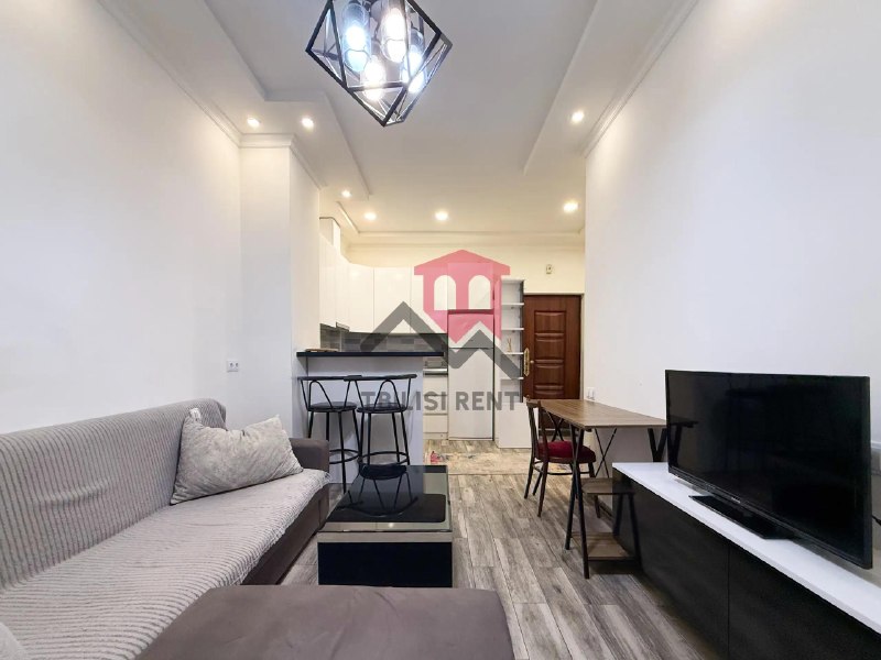 Apartment, 1 bedroom · Dighomi village — photo 2