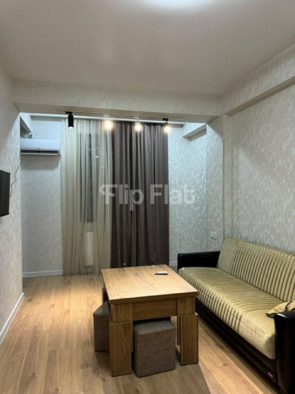 Apartment, 1 bedroom · Dighomi village — photo 2