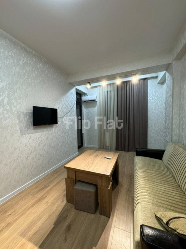 Apartment, 1 bedroom · Dighomi village — photo 3
