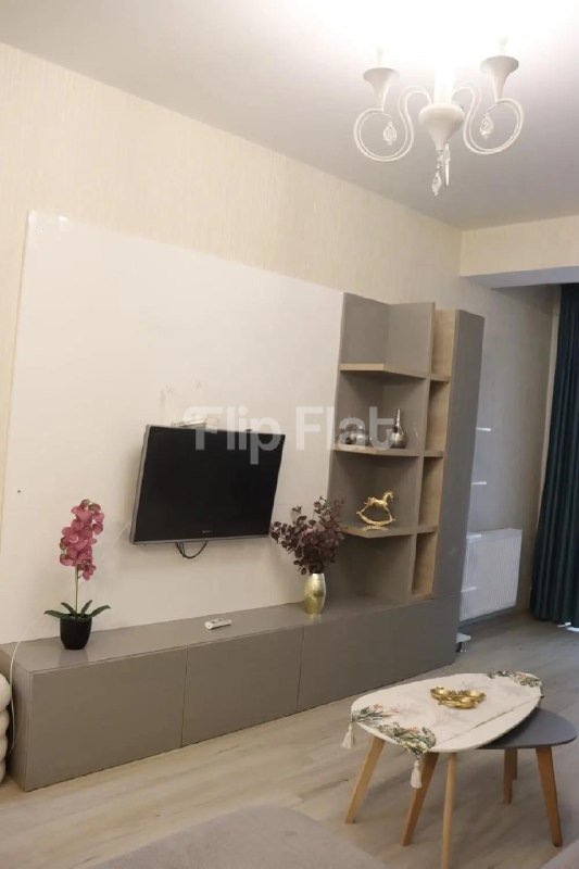 Apartment, 1 bedroom · Dighomi village — photo 4