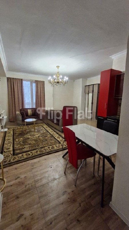 Apartment, 1 bedroom · Bagebi — photo 1