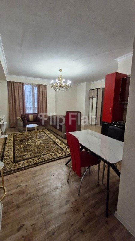 Apartment, 1 bedroom · Bagebi — photo 2