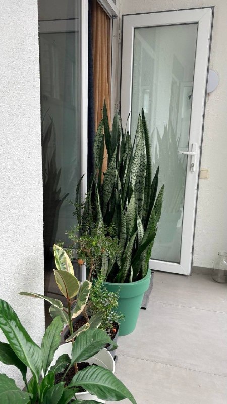 Apartment 36 m², studio — photo 4