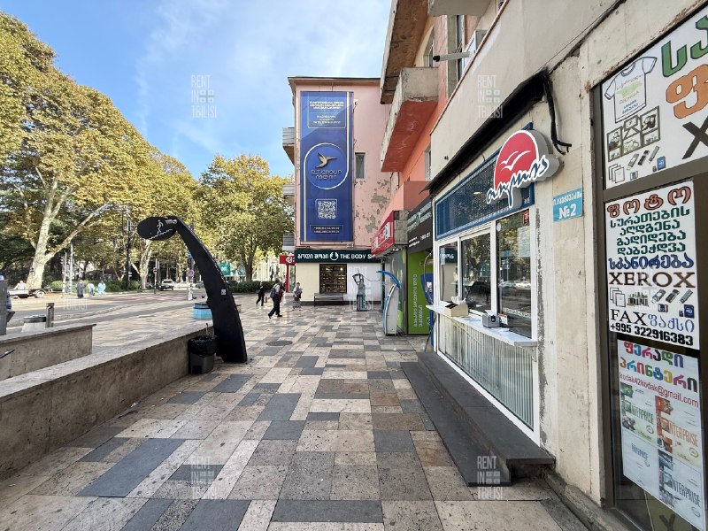 Commercial · Vake — photo 3