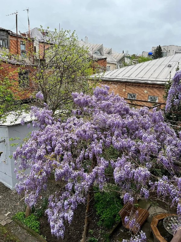 Квартира, 1 спальня — фото 1